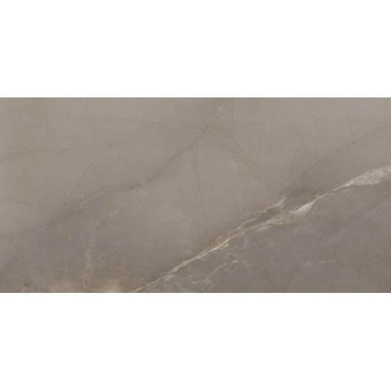 Керамогранит Passion Lux Taupe 60*120