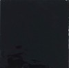 Patine Negro 15x15
