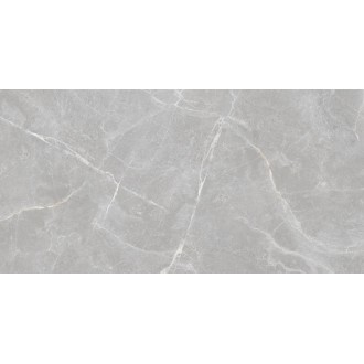 Patricia Grey Matt 60x120