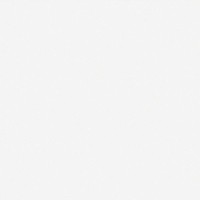 Pav. Code Blanco 33,3х33,3