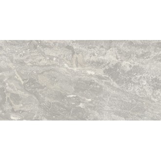 Pav. NEBULA LUX SILVER 60*120