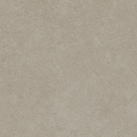 Pav. Rex taupe rc 60x60