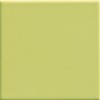 Pav. Verde 450 20x20