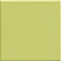 Pav. Verde 450 20x20