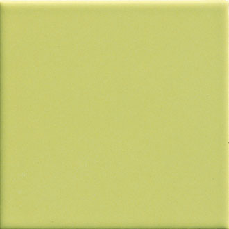 Pav. Verde 450 20x20
