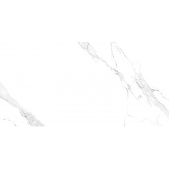 Pearl Statuario Glossy Silver Line 60x120