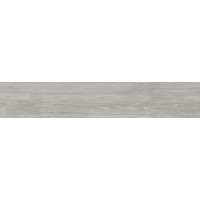Pembrey Ash 20*110