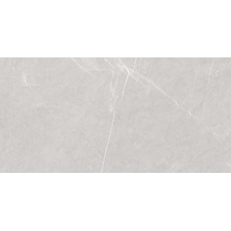 Pietra Blanco светло-серый матовый карвинг 60х120