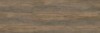 Plank BG 111 100x300