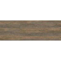 Plank BG 111 100x300