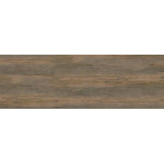 Plank BG 111 100x300