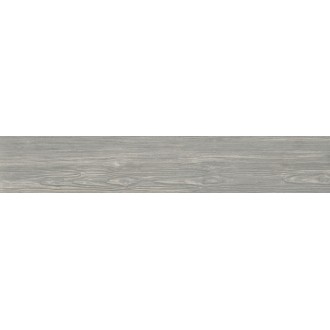 Polo Grigio Matt 20x120