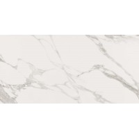 Porcelux Carrara Polished 60x120