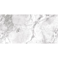 Portobello Polished 60x120