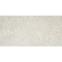 Premiere Ivory Matt 60x120