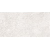 Premiere Pearl Matt 60x120