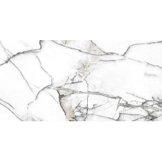 Premiere White Ep 60x120