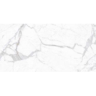 Proven Polished 60x120