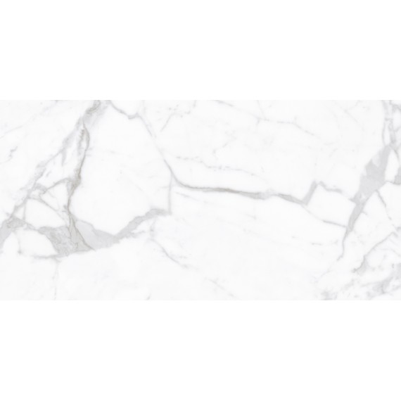 Керамогранит Proven Polished 60x120