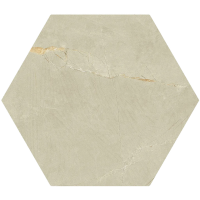 Pulpis Beige Hex 20*24