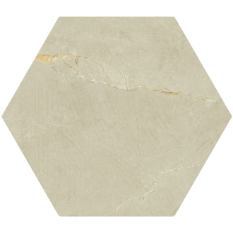 Pulpis Beige Hex 20*24