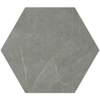 Pulpis Dark Grey Hex 20*24