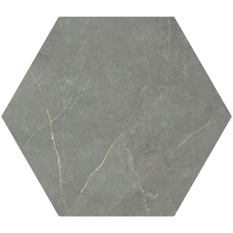 Pulpis Dark Grey Hex 20*24