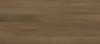 Quarta brown 04 25х60