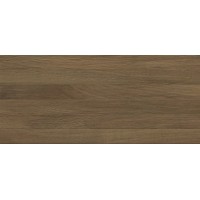 Quarta brown 04 25х60