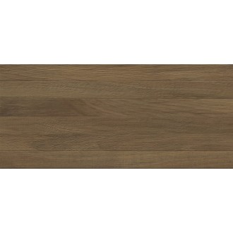 Quarta brown 04 25х60