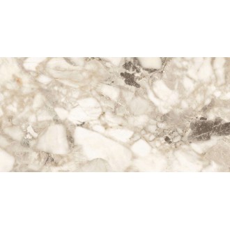 Quartzite Avorio Polished 60x120