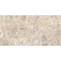 R8JN Eterna Mix Multicolor rett. 60x120