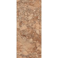 R8MZ Breccia Pernice GL RT 120x278