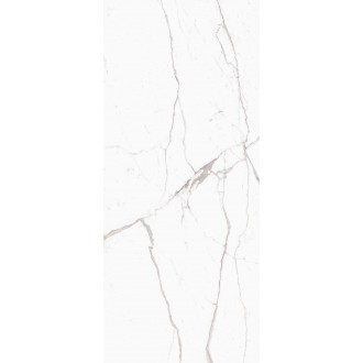 R8RG Incanto Statuario Venato Glossy Rett 120x278