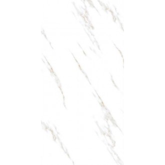 RADIAL STATUARIO 60x120