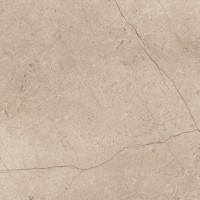 REN01050 Single 1 Bone Nat 60x60