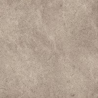 REN01100 Single 1 Warm Nat 60x60