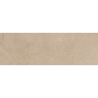 RER11050 Single 1 Bone Rett 10x30