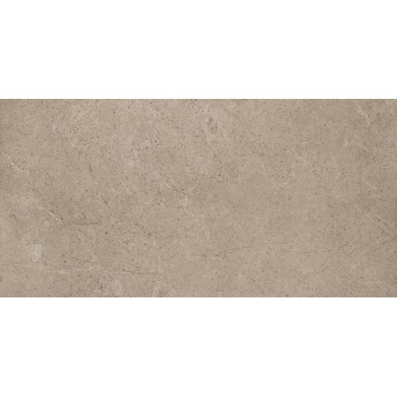Керамогранит RER51100 Single 1 Warm Rett 40x80