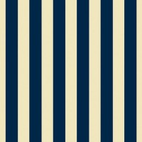 RG11-02 Riga Grande Blu Su Crema 20x20