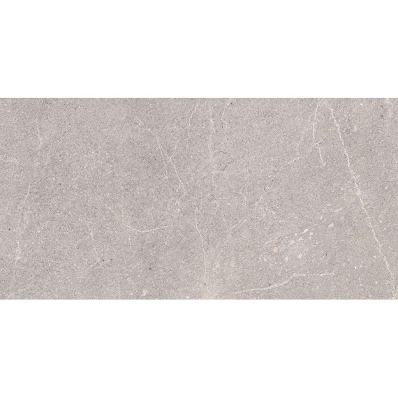 Керамогранит RG6001-A Керамогранит Equistone Gris Rotto Glossy Ink 60x120