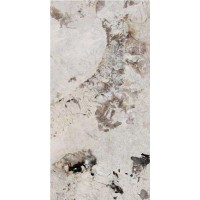 RIFLESSO BIANCO LAP RT 60x120