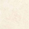 RO01W32388 Trevi Cream RC 59x59