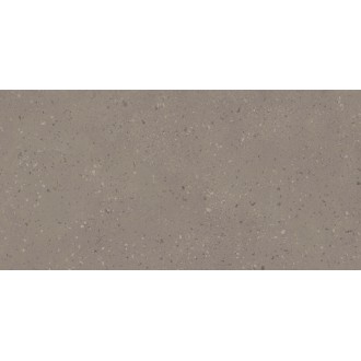 RO02 Астеро Серый Неполированный Рект 60x120x9