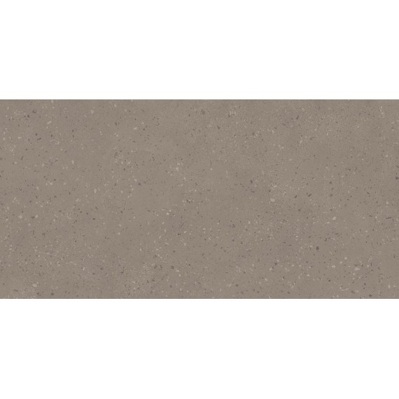 Керамогранит RO02 Астеро Серый Неполированный Рект 80x160x10