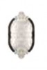 RO04IN4426 Inserto Dynasty Silver 10x18