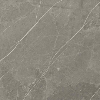 RS 1002 Grey Carving 60х60