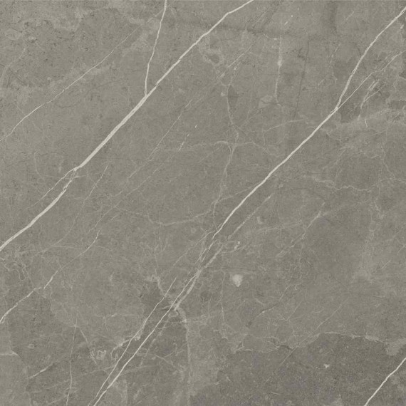 Керамогранит RS 1002 Grey Carving 60х60