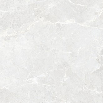 RS 161 Cement Endless Carving 60x60