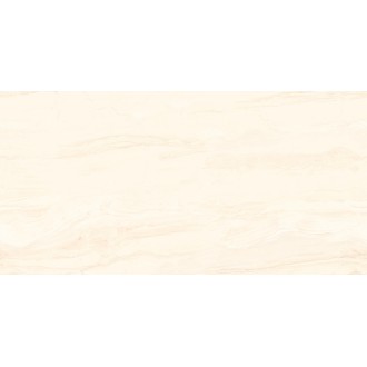 RS Brizzo Ivory Carving 60x120